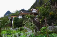 Guangwu Mountain Mangrove Farm