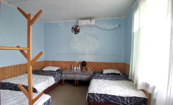 Bo'ao 517  Youth Hostel (Banyan Tree Inn,Qionghai)