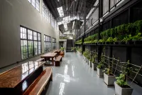 Premier Hostel Chiang Mai