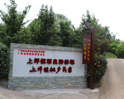 Home Stay in Taoxiang 롄핑 호텔