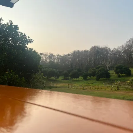 ViangPhing Resort