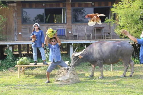 Hang Tueng Farmstay and workshop Chiang Mai