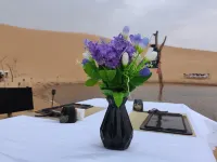 Enjoy the Starry and Desert Scenery Hotel
