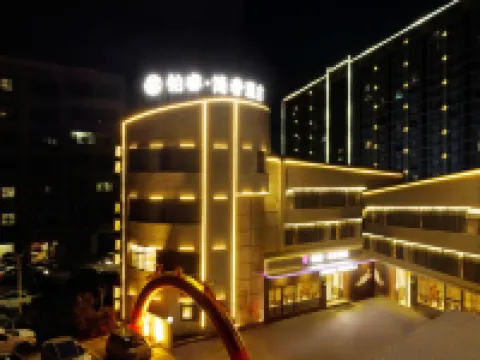 Borui Simple Luxury Hotel (Zaoyang Municipal Government)
