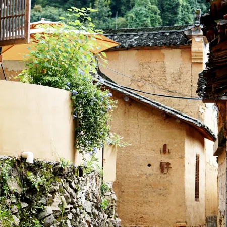 Mountain Wild Homestay (Yangjiatang Branch)