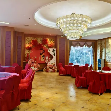 Vienna International Hotel (Daxin Detian Square)
