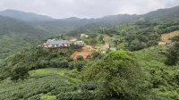 枕茶民宿