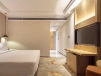 上海智微世纪丽呈酒店 - 高级大床房