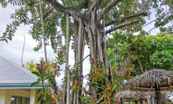 Almont Inland Resort