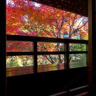 Ikoi Ryokan Others