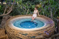 Wyndham Grand Plaza Royale Peach Blossom Hot Springs Resort Hunan - Hot Springs