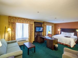 Hampton Inn & Suites Sacramento-Elk Grove Laguna 1-5