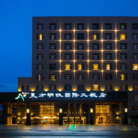 Chiayi Oriental Pearl International Hotel Отели в г. Цзяи