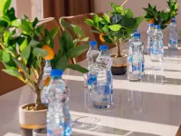 Hotel AirStar Hotels in Surcin