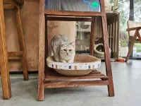 Jingshan Zhidu Forest Hot Spring B&B (Qingcheng Back Mountain Scenic Area Branch)