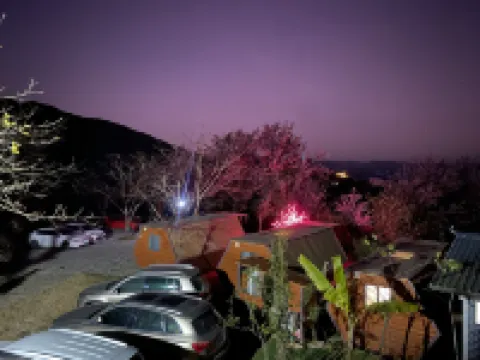 半山花宿·櫻花谷觀景客棧