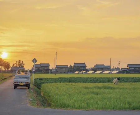 Lianzhou Changjing Leisure Farmhouse