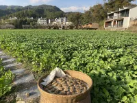 Wangshan Life Wuyuan Hotels near Changxi Village