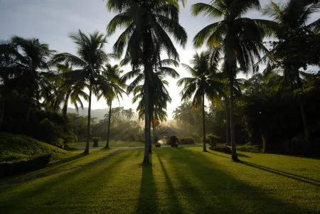 The Farm at San Benito
