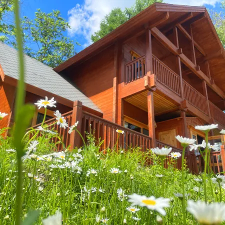 Neyin Ancient City Forest Tribe Chalet Hotel