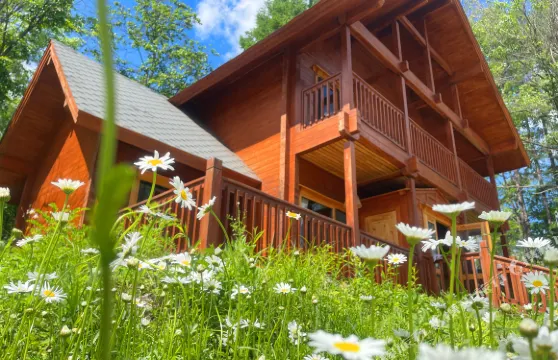 長白山訥殷古城森林部落木屋酒店