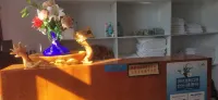 Yakeshi Hengyang Homestay - Inns