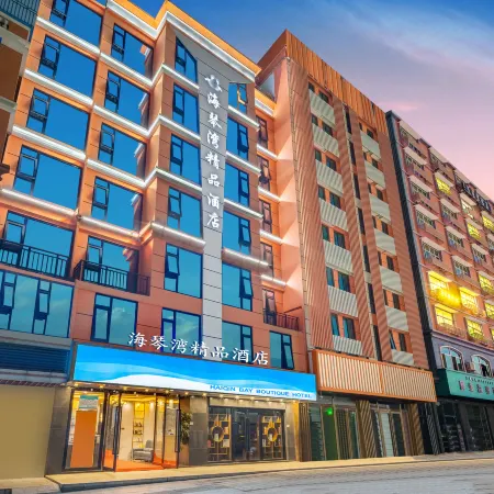 Shenzhen North Station Haiqinwan Hotel (Hong Shan Railway Station)