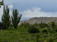 Bafeng Retreat - Romantische
