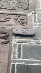 Yinbingshi Chinese Inn (Lizhuang Guzhen) Hotels near Zhang Family Ancestral Hall