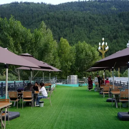 Diebushiyehotel
