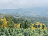 青城见素山居民宿 - 酒店附近