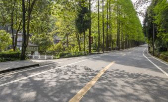 Qingcheng · Tiangu Hotel Dujiangyan