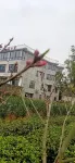 Xinchang Daxu Xiaoruo Homestay