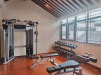 Wugong Mountain Taoyuan Mountain Residence Hotel (Wugong Mountain Tourist Center) - Gym