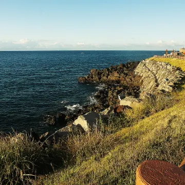 Login Hotel Jeju Hotels near Jeju Intl. Airport