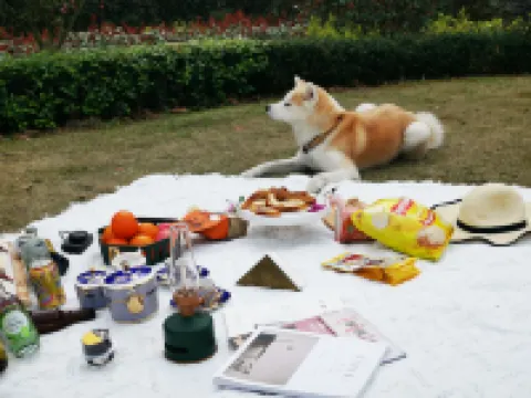 梵谷·莫干山法式莊園私湯民宿