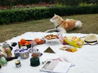 梵谷·莫干山法式莊園私湯民宿 庾村文化市集附近的飯店