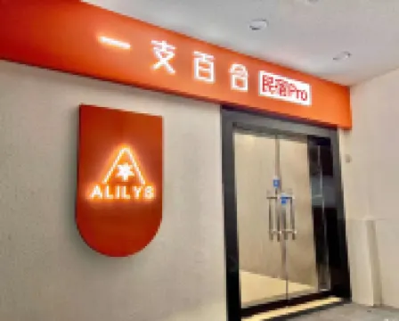 一支百合智慧酒店（合肥高鐵南站罍街店） 合肥酒店