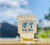 Wanning Haipan Lushan Surfing Homestay