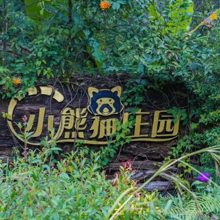 Red Panda Manor Pu’re