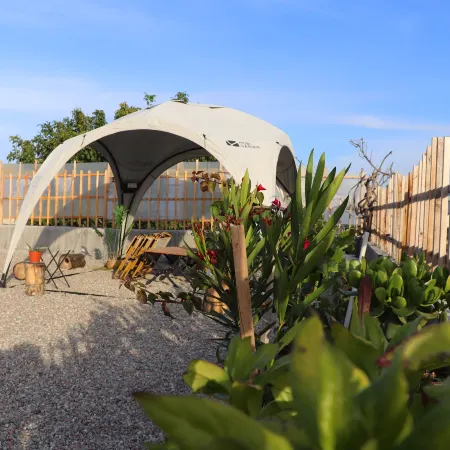 Yuxi Homestay