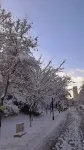 Jilin Yilin Residence