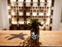 Jianshui B-Star International Youth Hostel