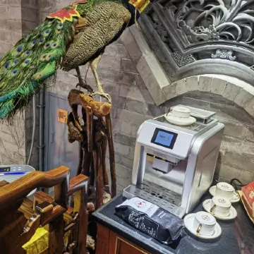 Yihai Mansion B&B. Datong Huayan Temple store