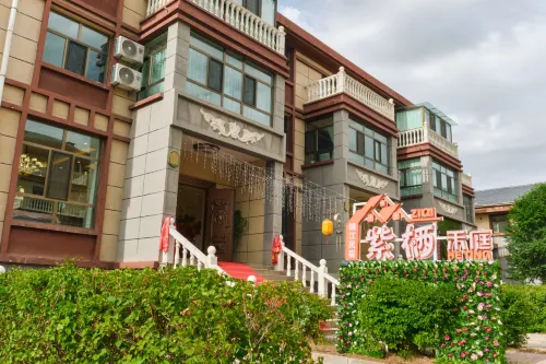 Zixi Heting of Delingha