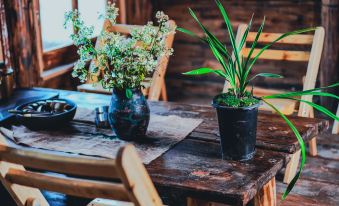 Baibei Yaoyao Bainiaofang