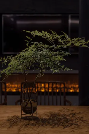 Wujianfang Guesthouse Отели рядом с достопримечательностью «Yuanxiangxiaozhen Sceneic Area»