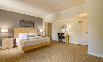 A spacious room in the hotel's sitting area with a bed, desk, and chair at Hotel Pennsylvania