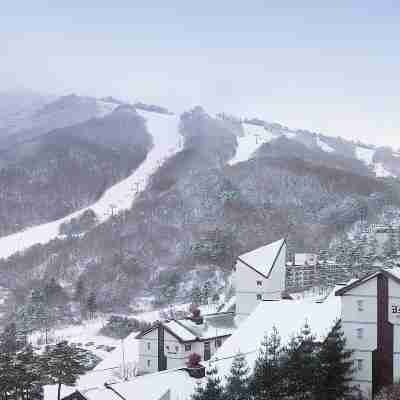 무주 덕유산 리조트 - 가족호텔 Hotel Exterior