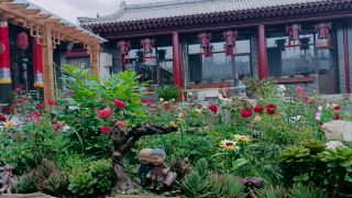 cuijin-garden-homestay